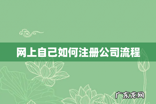 网上自己如何注册公司流程