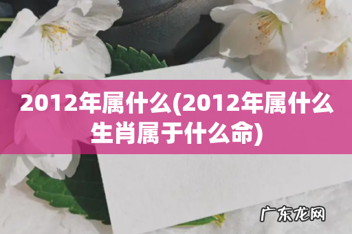 2012年属什么生肖属于什么命 2012年属什么