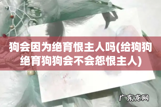 给狗狗绝育狗狗会不会怨恨主人 狗会因为绝育恨主人吗
