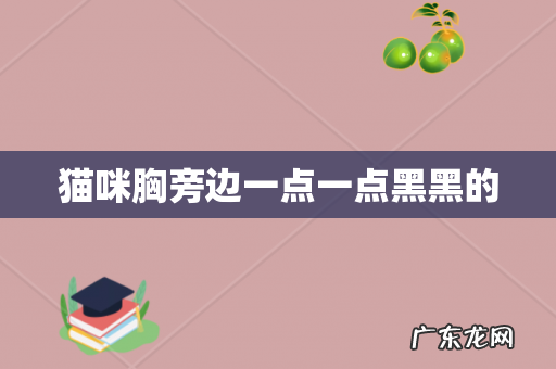 猫咪胸旁边一点一点黑黑的