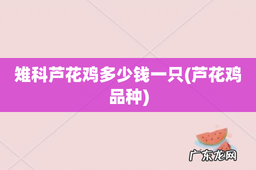 芦花鸡品种 雉科芦花鸡多少钱一只