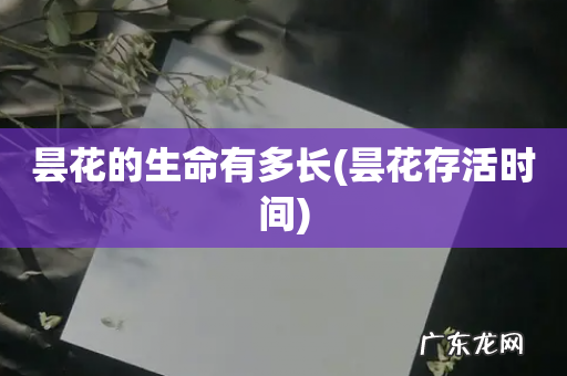 昙花存活时间 昙花的生命有多长