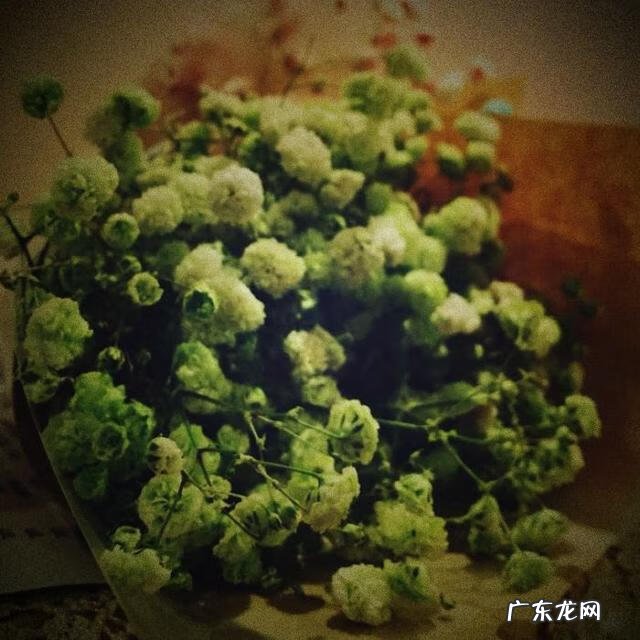 日常小浪漫 简单的浪漫
