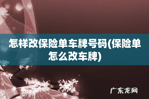 保险单怎么改车牌 怎样改保险单车牌号码