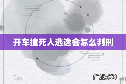 开车撞死人逃逸会怎么判刑