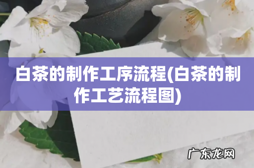 白茶的制作工艺流程图 白茶的制作工序流程