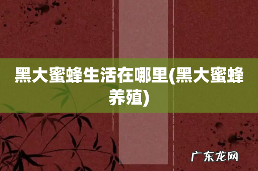 黑大蜜蜂养殖 黑大蜜蜂生活在哪里