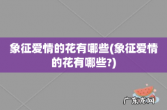 象征爱情的花有哪些? 象征爱情的花有哪些