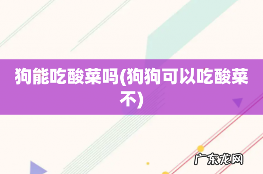 狗狗可以吃酸菜不 狗能吃酸菜吗