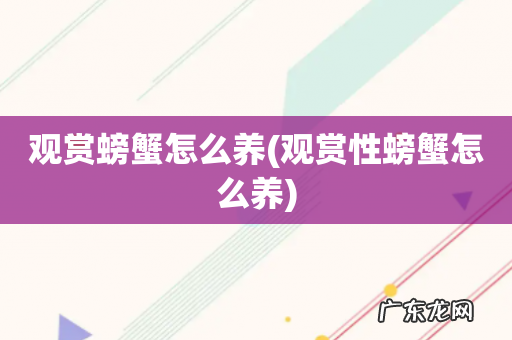 观赏性螃蟹怎么养 观赏螃蟹怎么养