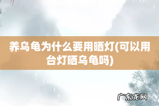 可以用台灯晒乌龟吗 养乌龟为什么要用晒灯