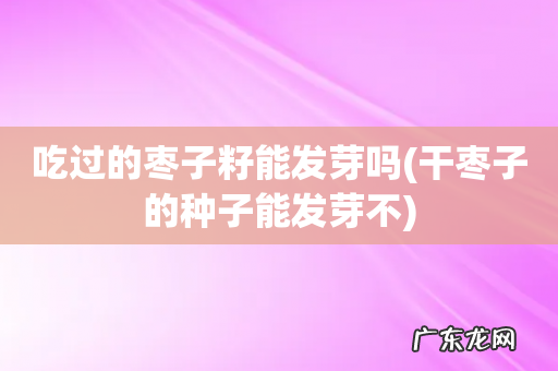 干枣子的种子能发芽不 吃过的枣子籽能发芽吗