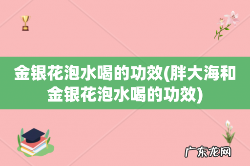 胖大海和金银花泡水喝的功效 金银花泡水喝的功效