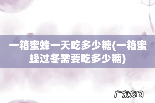 一箱蜜蜂过冬需要吃多少糖 一箱蜜蜂一天吃多少糖