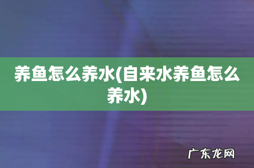自来水养鱼怎么养水 养鱼怎么养水