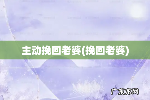 挽回老婆 主动挽回老婆