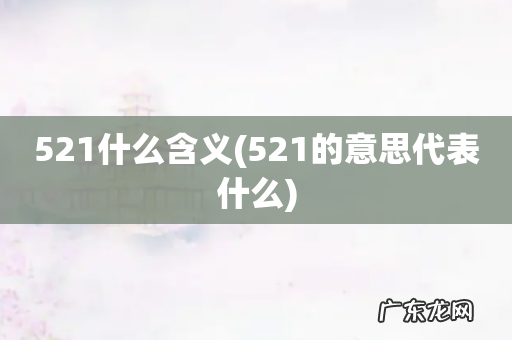 521的意思代表什么 521什么含义