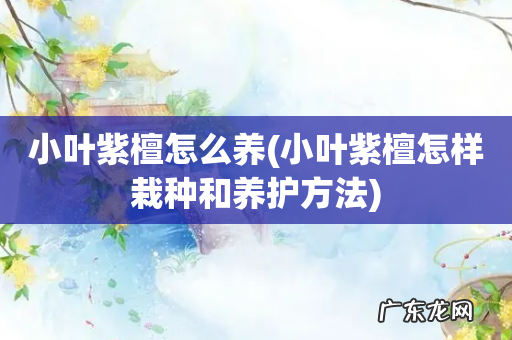 小叶紫檀怎样栽种和养护方法 小叶紫檀怎么养