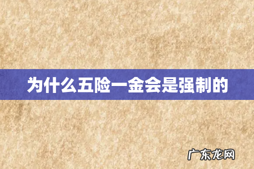 为什么五险一金会是强制的