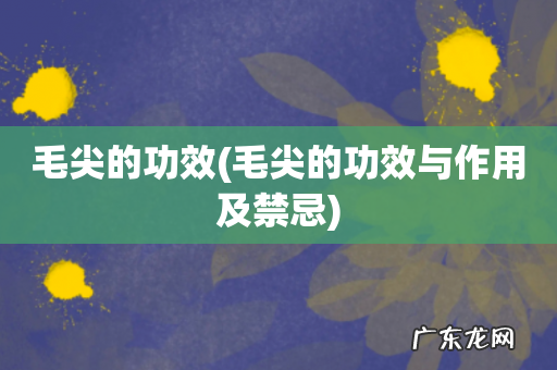 毛尖的功效与作用及禁忌 毛尖的功效