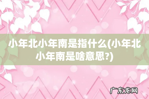 小年北小年南是啥意思? 小年北小年南是指什么