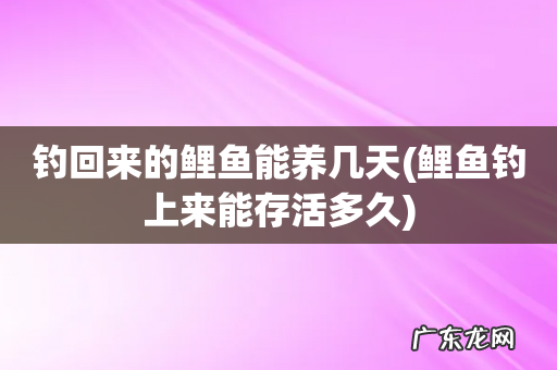 鲤鱼钓上来能存活多久 钓回来的鲤鱼能养几天