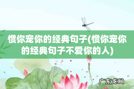 惯你宠你的经典句子不爱你的人 惯你宠你的经典句子