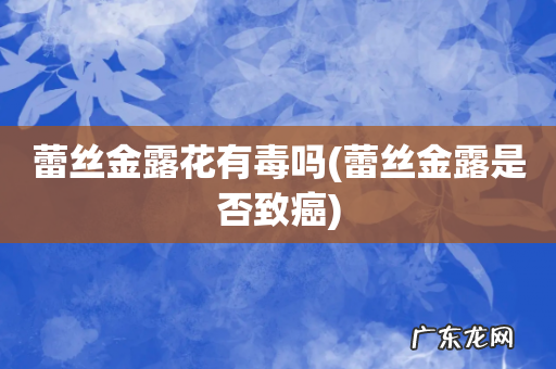 蕾丝金露是否致癌 蕾丝金露花有毒吗