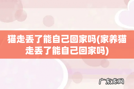 家养猫走丢了能自己回家吗 猫走丢了能自己回家吗