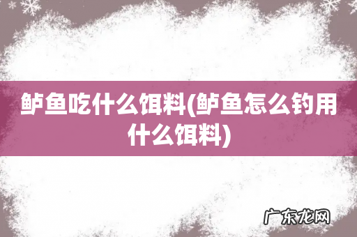 鲈鱼怎么钓用什么饵料 鲈鱼吃什么饵料