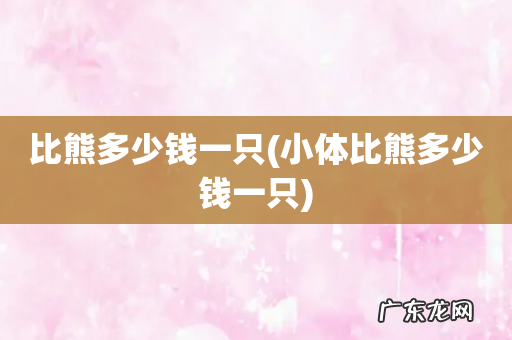 小体比熊多少钱一只 比熊多少钱一只