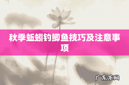 秋季蚯蚓钓鲫鱼技巧及注意事项