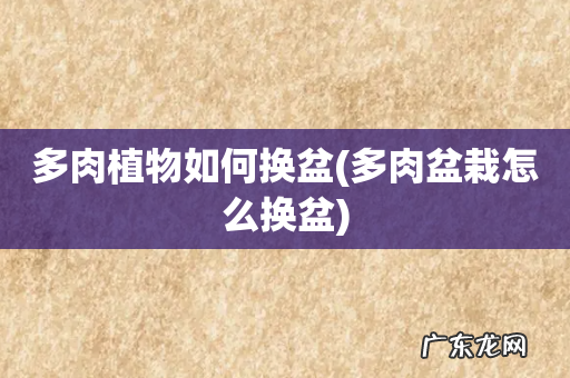 多肉盆栽怎么换盆 多肉植物如何换盆