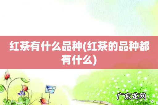 红茶的品种都有什么 红茶有什么品种