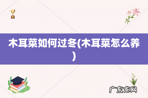 木耳菜怎么养 木耳菜如何过冬