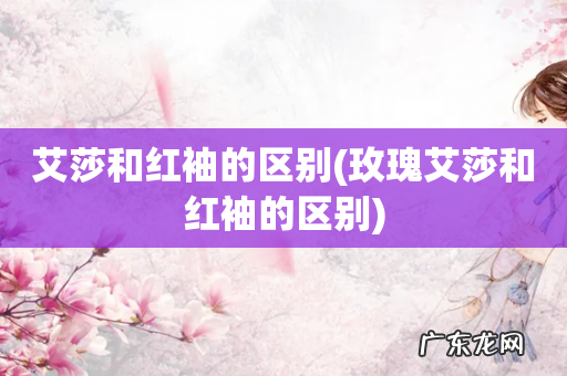 玫瑰艾莎和红袖的区别 艾莎和红袖的区别