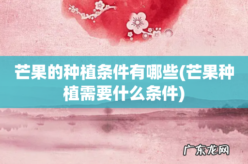 芒果种植需要什么条件 芒果的种植条件有哪些