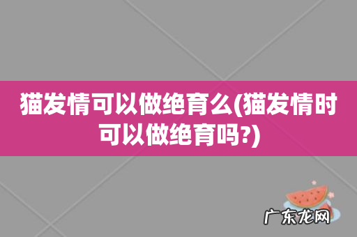 猫发情时可以做绝育吗? 猫发情可以做绝育么
