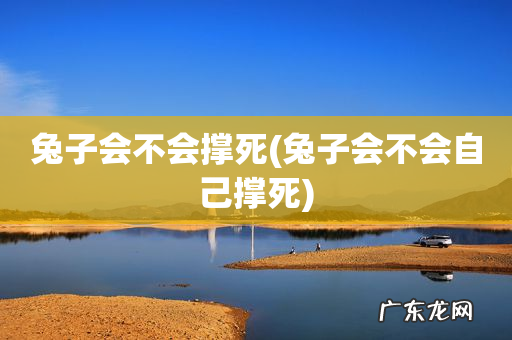 兔子会不会自己撑死 兔子会不会撑死
