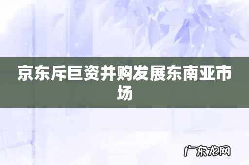 京东斥巨资并购发展东南亚市场
