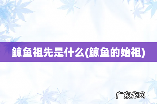 鲸鱼的始祖 鲸鱼祖先是什么