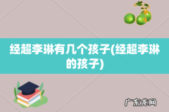 经超李琳的孩子 经超李琳有几个孩子