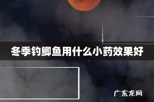 冬季钓鲫鱼用什么小药效果好