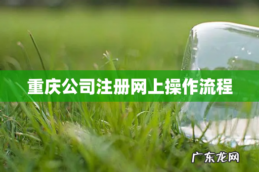 重庆公司注册网上操作流程