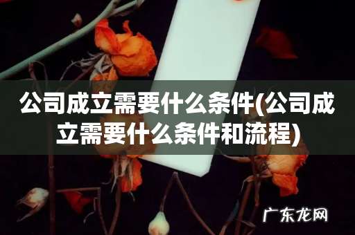 公司成立需要什么条件和流程 公司成立需要什么条件