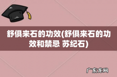 舒俱来石的功效和禁忌 苏纪石 舒俱来石的功效