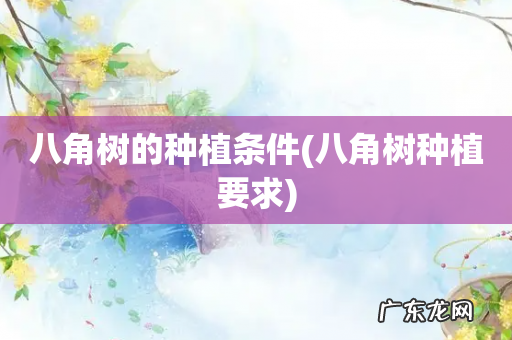 八角树种植要求 八角树的种植条件