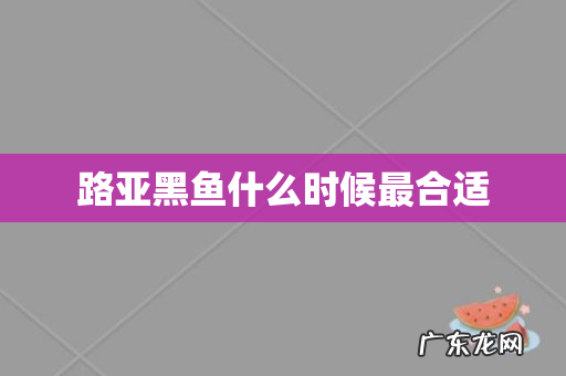 路亚黑鱼什么时候最合适