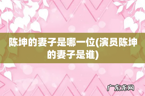 演员陈坤的妻子是谁 陈坤的妻子是哪一位