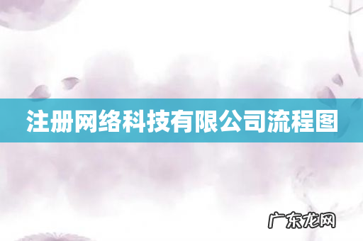 注册网络科技有限公司流程图
